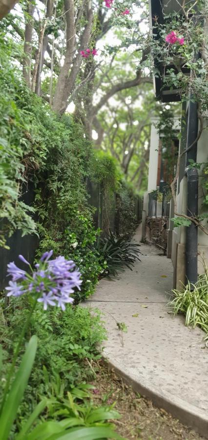Los Tarcos Guest House サンサルバドールデフフイ エクステリア 写真