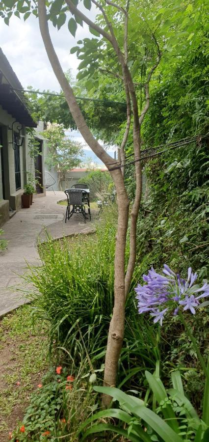 Los Tarcos Guest House サンサルバドールデフフイ エクステリア 写真