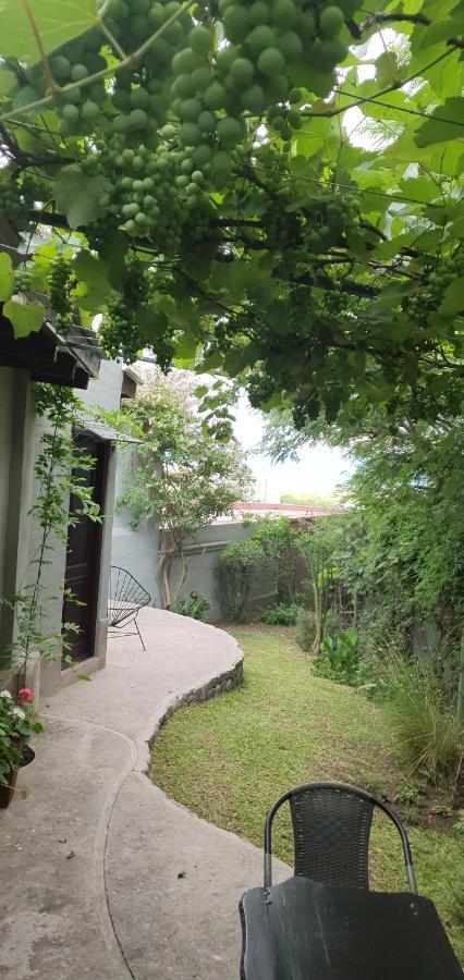 Los Tarcos Guest House サンサルバドールデフフイ エクステリア 写真