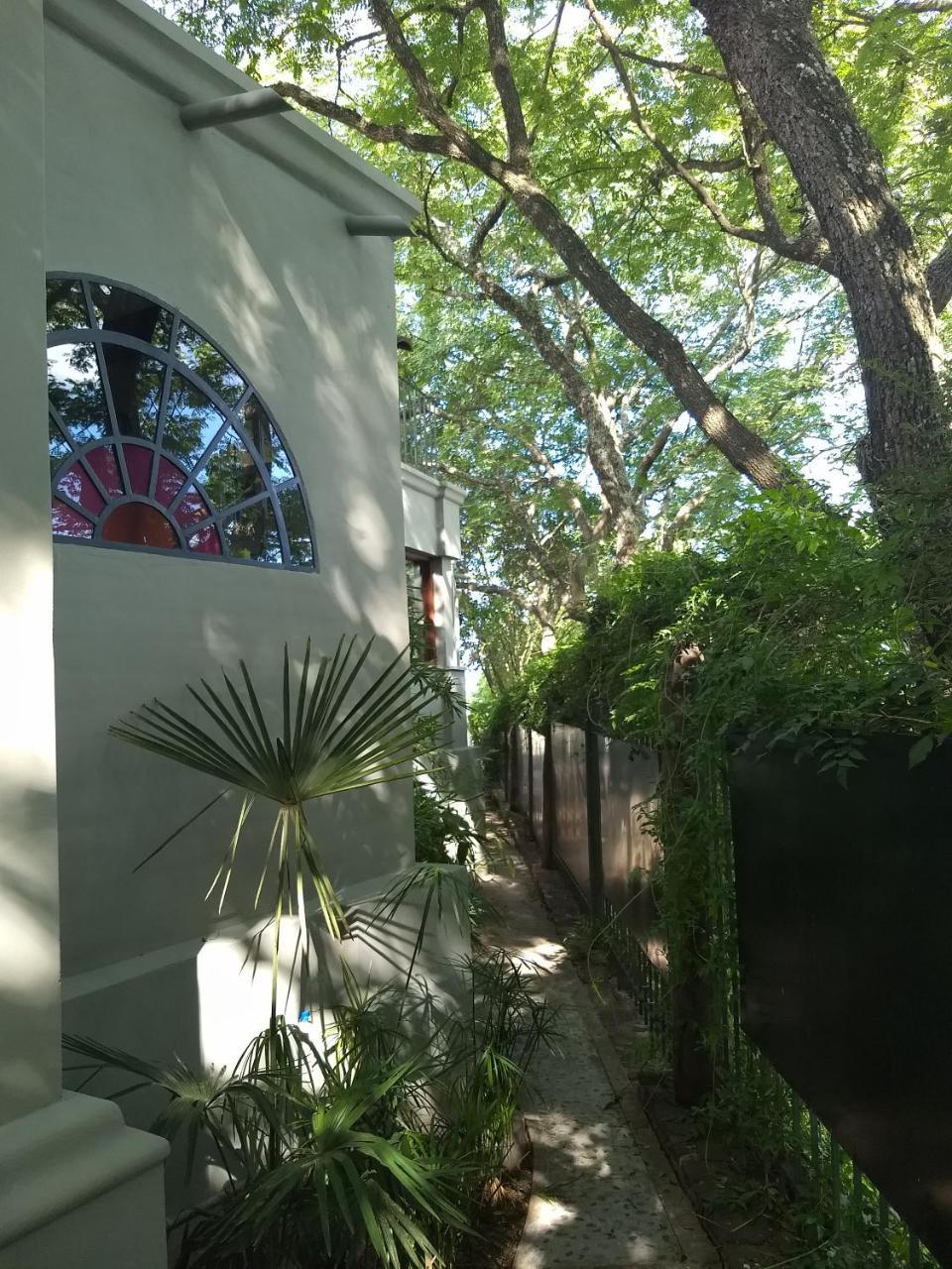 Los Tarcos Guest House サンサルバドールデフフイ エクステリア 写真