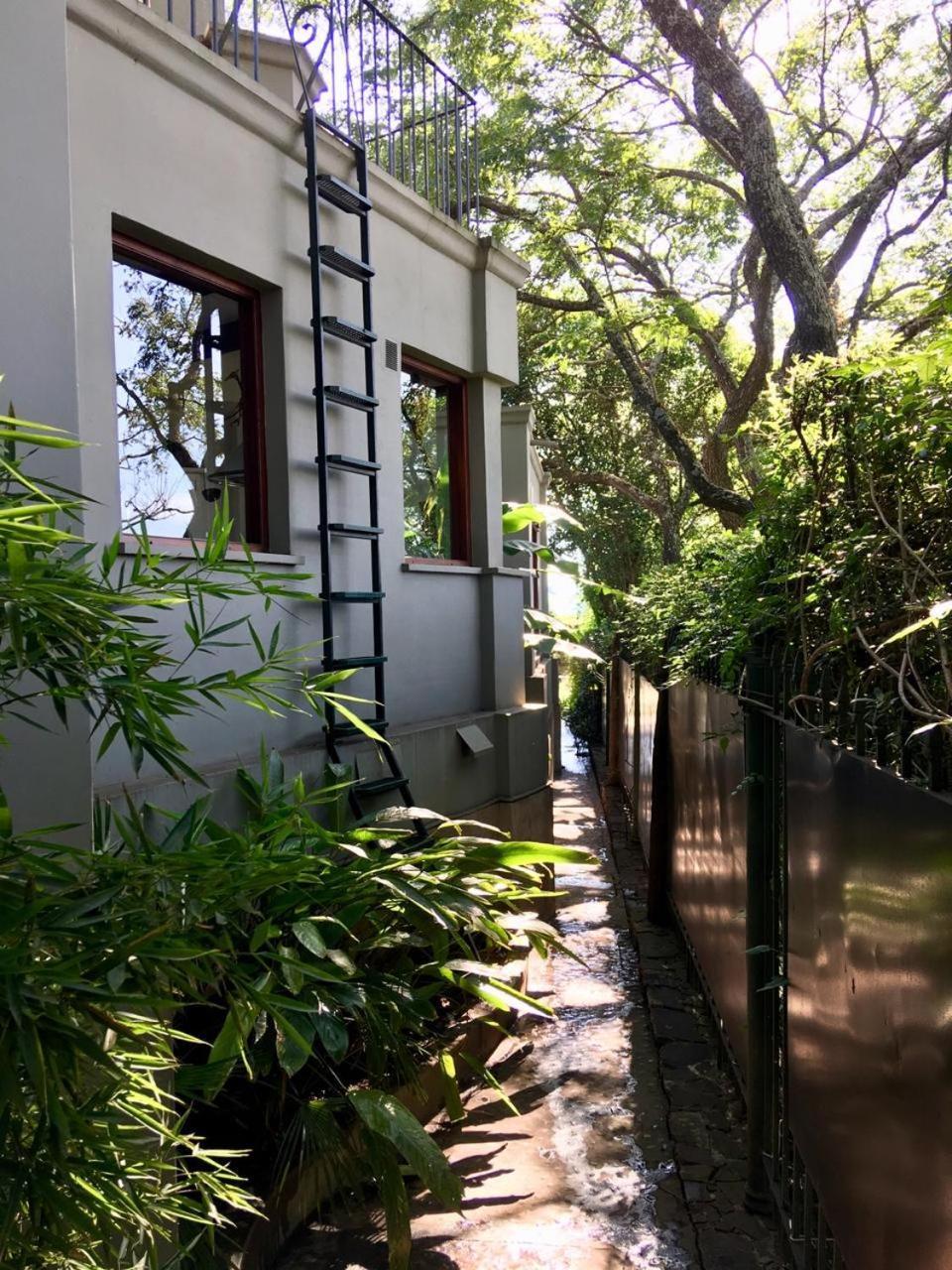 Los Tarcos Guest House サンサルバドールデフフイ エクステリア 写真